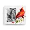 Demdaco Spring Cardinal Ceramic Picture Frame, 4x6 -Hallmark Shop Cardinal Illustration on White Ceramic Picture Frame 1004610085 01