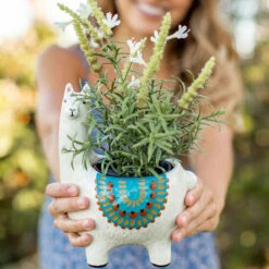 Natural Life Cream Ceramic Llama Planter -Hallmark Shop Natural Life Cream Ceramic Llama Planter PLNT073 02