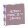 Recently Promoted To Grandpa Wood Quote Sign, 4x4 5 Recently Promoted To Grandpa Wood Quote Sign, 4x4 -Hallmark Shop Recently Promoted to Grandpa Wood Quote Sign 115867 01